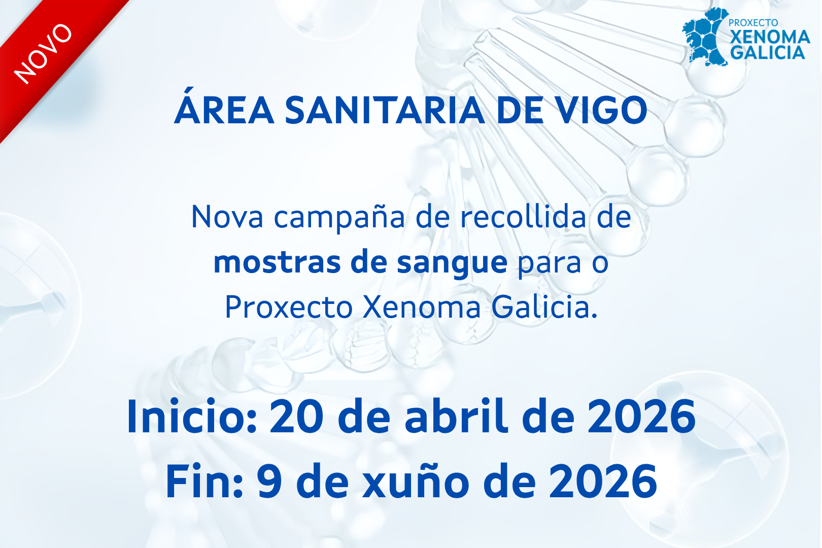 gal-campaña-vigo-fase1-xenoma-galicia.png